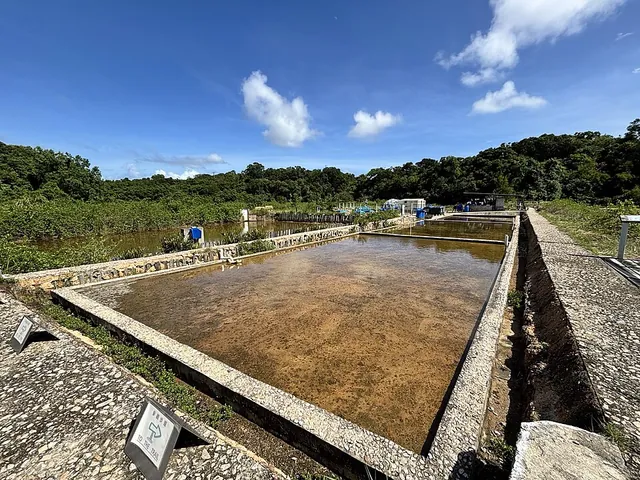 Yim Tin Tsai salt pans