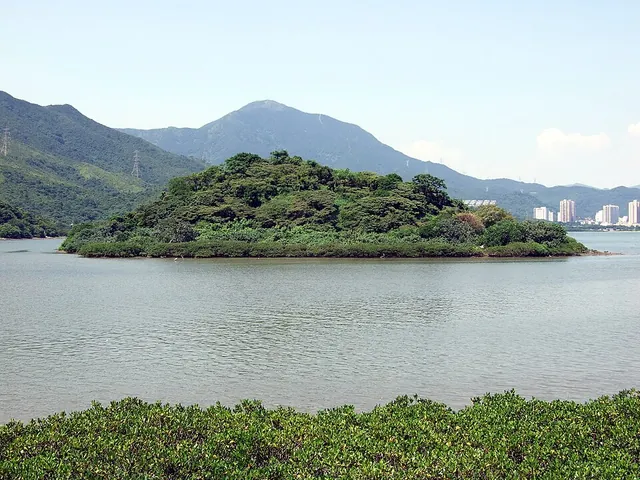 A Chau, Starling Inlet