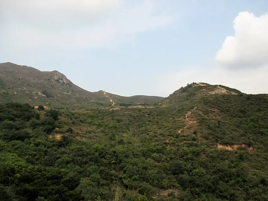 Lo Fu Tau · 老虎頭
