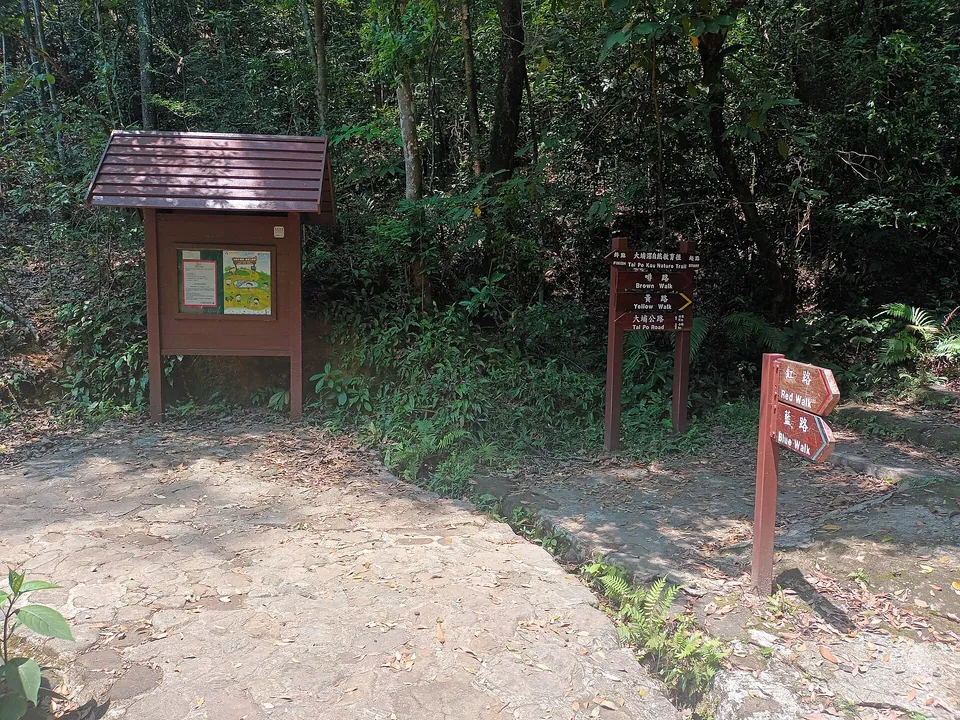 A forest path junction with a notice board and wooden fingerposts reading Brown Walk, Yellow Walk, Red Walk and Blue Walk.