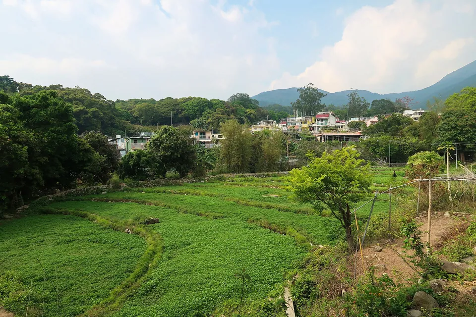 Green terraced fields with trees and village houses below wooded hills.