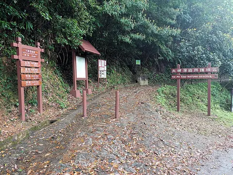 Start of the Red, Blue, Brown and Yellow walks, Tai Po Kau Nature Reserve