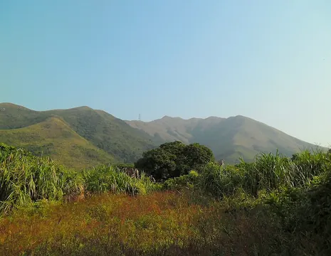 從沙頭角公路望紅花嶺