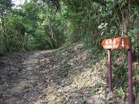 Kowloon Reception Reservoir Jogging Trail